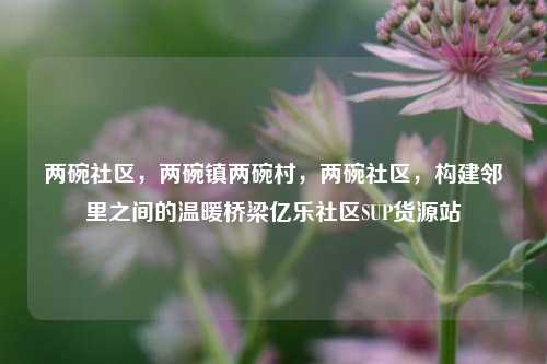 两碗社区，两碗镇两碗村，两碗社区	，构建邻里之间的温暖桥梁亿乐社区SUP货源站  第1张