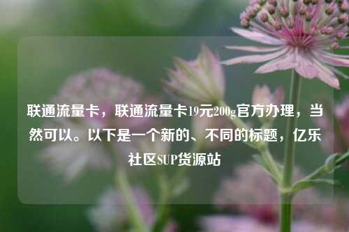 联通流量卡，联通流量卡19元200g官方办理，当然可以	。以下是一个新的	、不同的标题	，亿乐社区SUP货源站  第1张